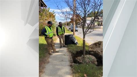 Trees planted in new places across Glens Falls